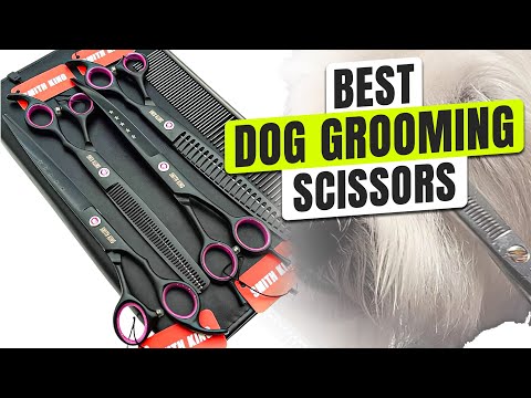 3 BEST Dog Grooming Scissors