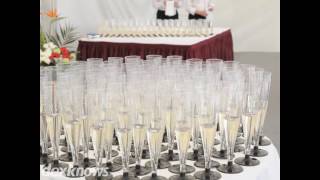 Taylor Rental Party Plus Naples FL 34104-4755