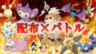 【ダイパリメイク】4V～5V配布してます～きがるにどうっぞ※概要欄必読
