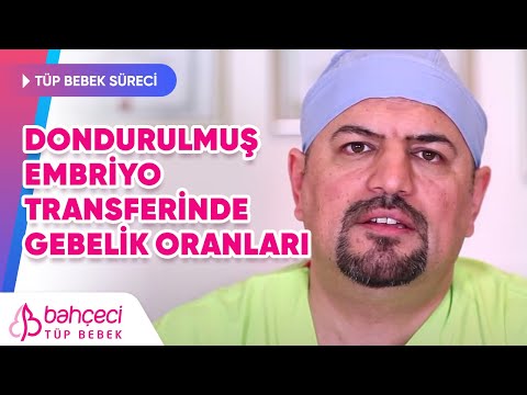 Dondurulmuş Embriyo Transferinde Gebelik Oranları Nedir?
