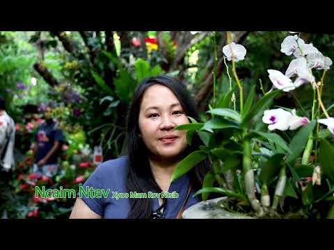 Ncaim Ntev Xyoo Mam Rov Ntsib. 1/6/2026