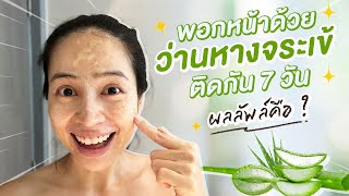 พอกหน้าด้วยว่านหางจระเข้ติดต่อกัน 7 วัน น่าทำตั้งนานแล้ว!!! เริ่ดมาก | แชทแชร์ Chatsshare