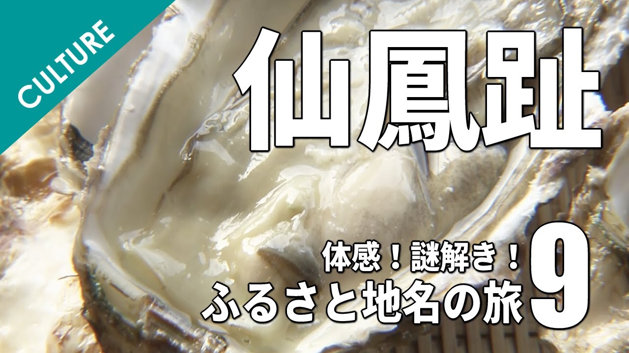 地名博士が送る「体感！謎解き！ふるさと地名の旅#9〜仙鳳趾」