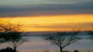 Dedicated to My Dad- I Love You and Miss You So Much!