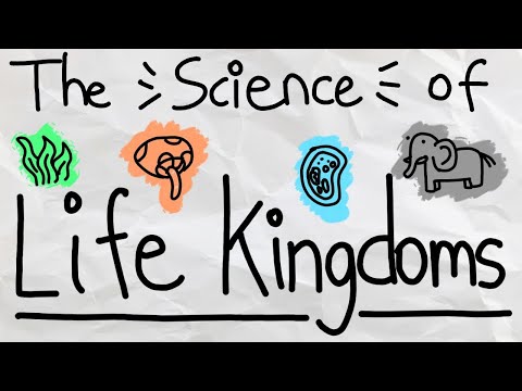 The 6 Kingdoms of Life