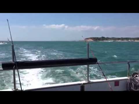 A successful mackerel fishing trip with Steve and Misa