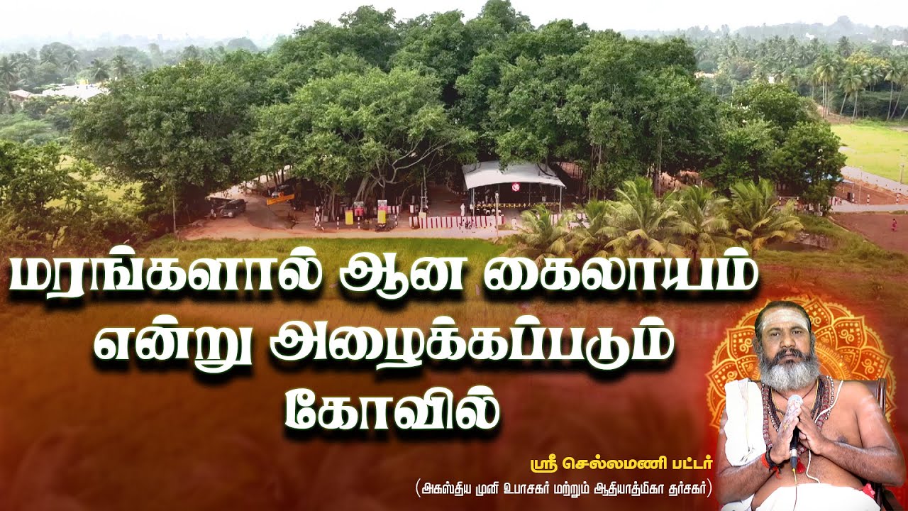 மரங்களால் ஆன கைலாயம் என்று அழைக்கப்படும் கோவில் | SRI BALA GURUNATHEESWARAR SWAMI TEMPLE#meditation