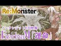 EverdreaM「運命」