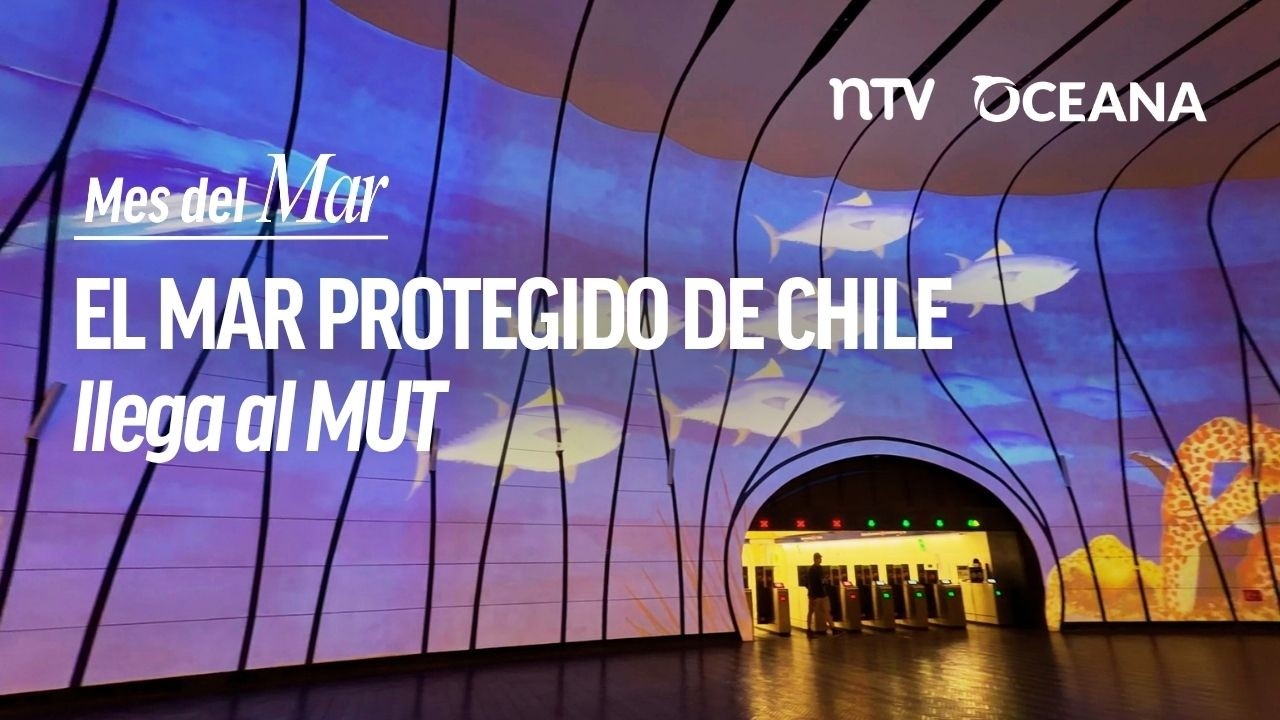El mar protegido de Chile llega al MUT