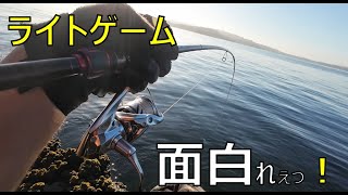 湾内小磯のハガッツィオ　ライトゲーム