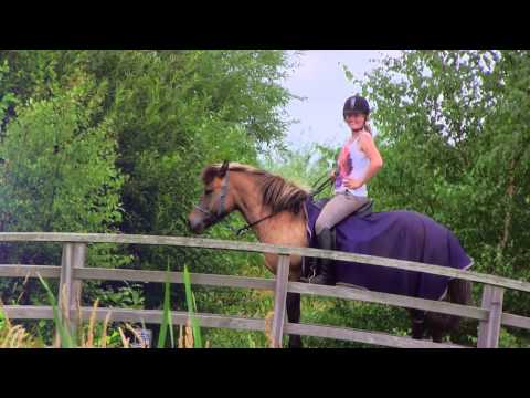 Wake up in paradise.