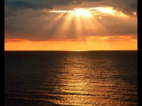 NiFfen - Where I belong