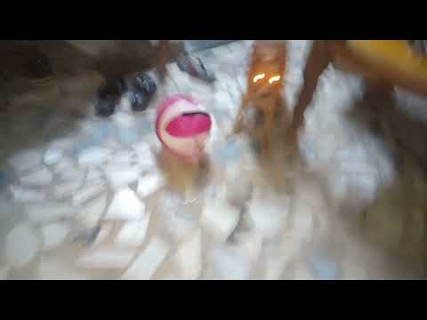 Dog19 December 2021(5)