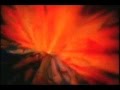 Spiritualized - I Want You (Instrumental Long Mix ...
