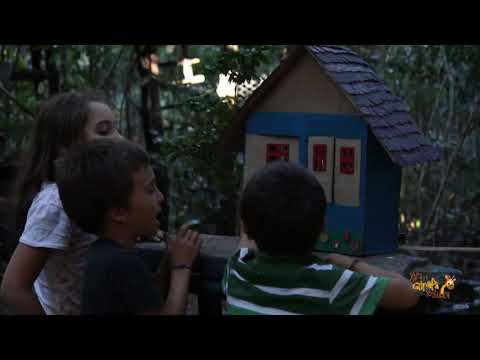 O aniversário da Girafa