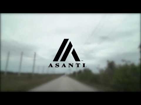 BMW 430i with ABL 14 in 20 Staggered Asanti Black Label Wheels