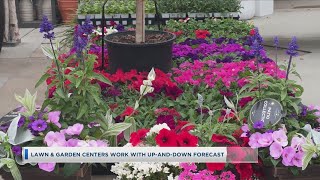 Lawn and Garden Centers Work With Up-and-Down Forecast Good Day Siouxland at 5am 4-19-24