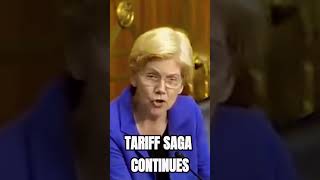 Elizabeth Warren Grills Trump's Trade Rep on Tariff Strategy
