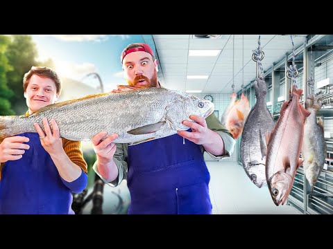 Cette Poissonnerie travaille comme une Boucherie ?! Ft @PoissonnerieViot