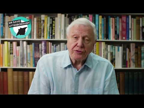 Sir David Attenborough's World Oceans Day Message