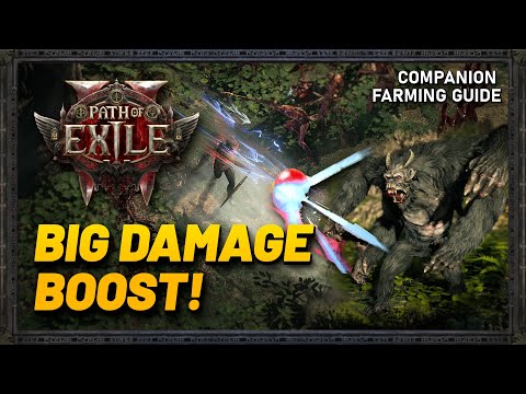 PoE 2 - Companions are AWESOME: How to Find The Best Companion