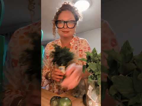 How to buy groceries at Whole Foods for an entire week and spend less than $100!