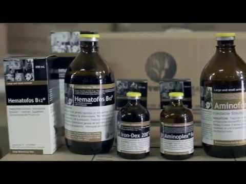 Agrovet Market Animal Health Video Institucional 20 años 2014