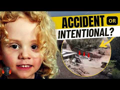 GUS LAMONT A New Theory Emerges + The #7 Clue We All Missed