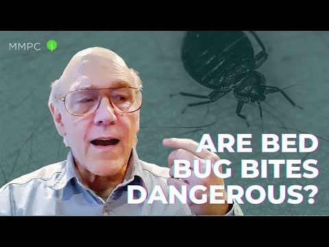 Are Bed Bug Bites Dangerous? — An Entomologist Explains | MMPC