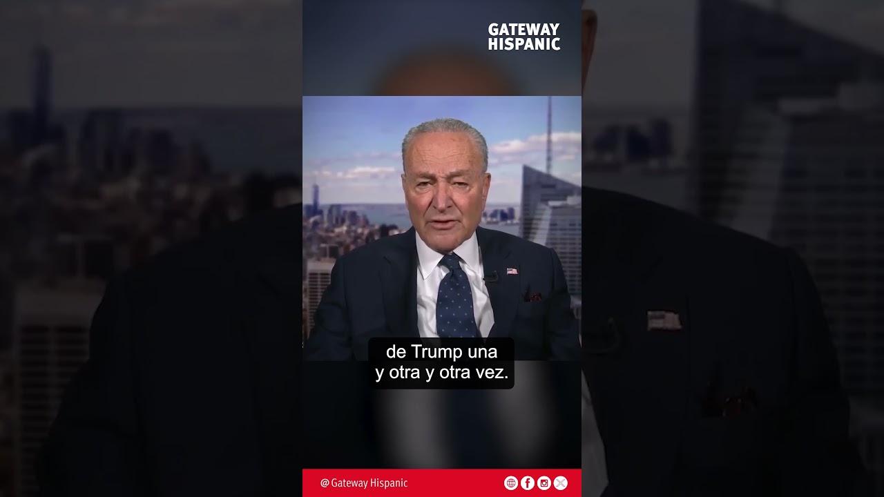 Chuck Schumer admits that judges are actually activists who are there to stop Trump