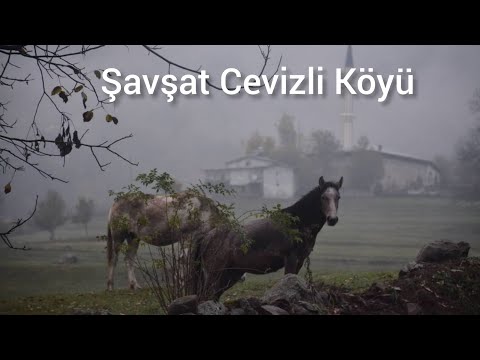 Şavşat  Cevizli Köyü Videosu,  Turkey  Şavşat Cevizli  Village