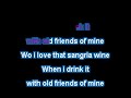 Todd Snider - Sangria Wine - Karaoke