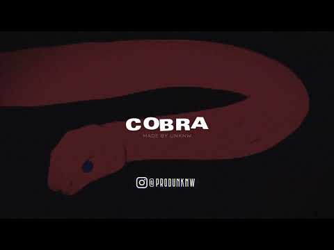 [FREE] Loko Loko X Daweed Hustle Trap Type Beat  - "COBRA" | Melodic Hard Plug Trap Type Beat 2023