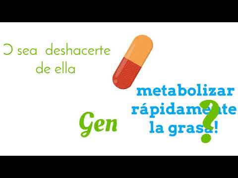 Acelerador (Quema grasa y regulador de metabolismo)