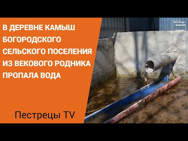 В деревне Камыш Богородского сельского поселения из векового родника пропала вода