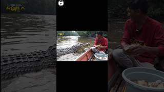 Download lagu ambo menepuk tangan memanggil buaya riska #buayamuara #buayariska  #crocodile mp3