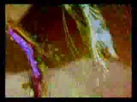 Thumbnail of the video: Stan Brakhage - Glaze of cathexis (1990)