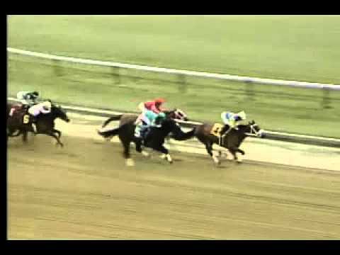 Pimlico 04/04/2013 Race 6