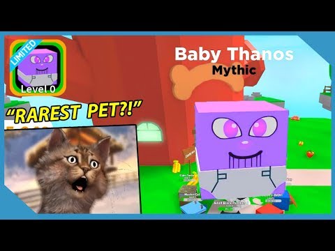 I Got The Thanos Pet Roblox Pet Paradise New Pet Simulator - roblox pet paradise new pet simulator