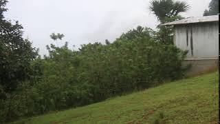 GLIMPSE OF THE RESIDENTIAL LOT