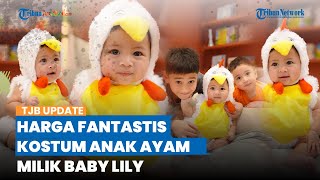 Tampil Menggemaskan, Segini Harga Kostum Anak Ayam Milik Baby Lily, Ternyata Dibanderol Fantastis