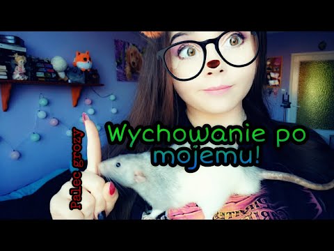 Nauka dobrego zachowania (53) Co robić gdy szczur gryzie