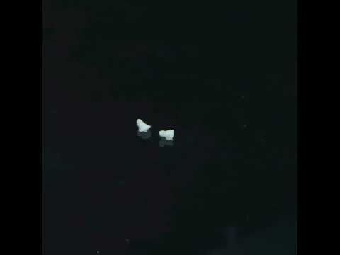 YouTube 썸네일