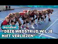WIE WINT DE BELANGRIJKSTE WEDSTRIJD VAN HEERHUGOWAARD? | DERBY HANDBAL | ZAPPSPORT