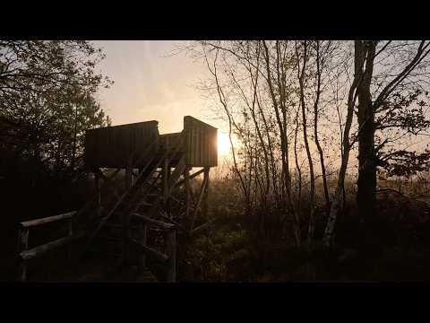 Moorerlebnispfad Huvenhoopsmoor