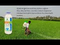 Best fungicide for paddy Crop | Best fungicide for all crops | pesticides | Agriculture | Tricolour
