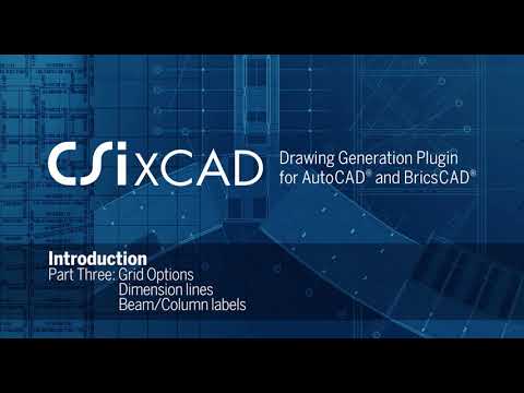 Grid options, dimension lines and beam/column labels