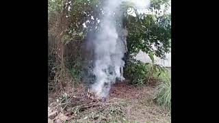 Download lagu Campaka Bodas mp3