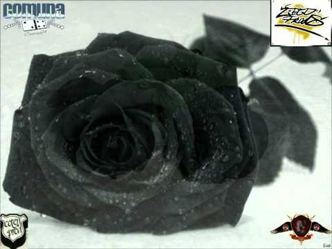 04. Rosas negras - Cheko (FT Coten)
