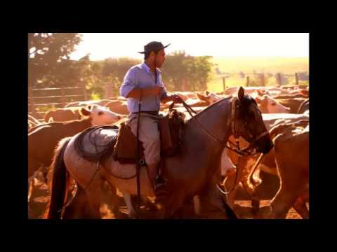 Última Tropa - Guto Gonzalez